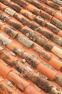 Ponte: France, Corsica, La Balagne, Pigna, artisanal