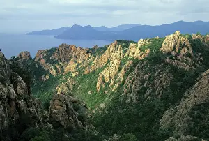 Porto: France, Corsica, Piana/Porto, Le Calanche