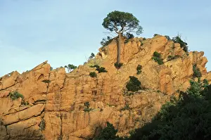 Porto: France, Corsica, Piana/Porto, Le Calanche