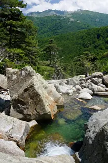 Smith: France, Corsica. Pool of clear water and