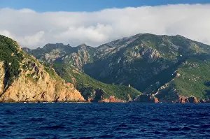 Smith: France, Corsica. Rugged coast near Galeria