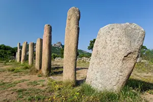 Patterned: France, Corsica. Stone alignment of I Stantari