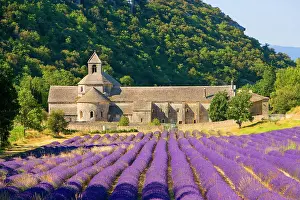Orderly: France, Gordes. Cistercian monastery of