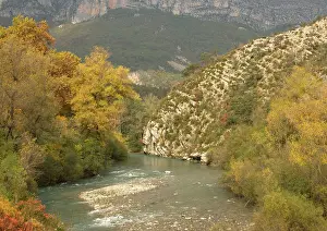 Verdon: France - Gorge du Verdon, Provence-Alpes, in autumn