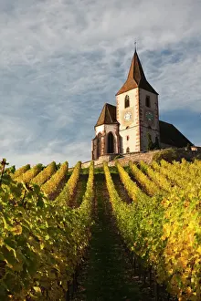 France, Haut-Rhin, Alsace Region, Alsatian