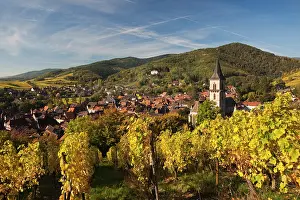 Vins: France, Haut-Rhin, Alsace Region, Alsatian