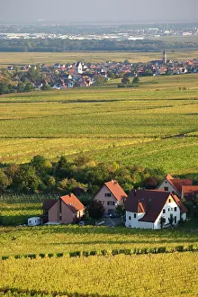 Vins: France, Haut-Rhin, Alsace Region, Alsatian
