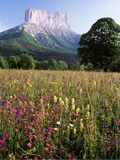 Aiguilles: France - Haymeadow and Mount Aiguilles at Richardiere