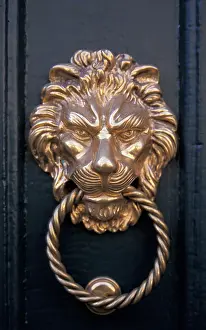 Metal: France, Jura, Poligny. Ornate lion head