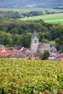Champagne: France, Marne, Champagne Ardenne, Avenay