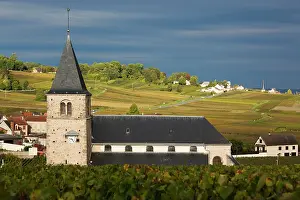 Champagne: France, Marne, Champagne Ardenne, Mailly-Champagne
