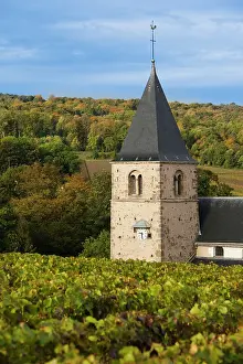 Champagne: France, Marne, Champagne Ardenne, Mailly-Champagne
