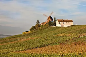 Champagne: France, Marne, Champagne Ardenne, Verzenay