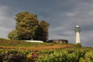 Champagne: France, Marne, Champagne Ardenne, Verzenay
