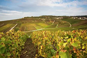Champagne: France, Marne, Champagne Region, Hautvillers