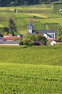 Champagne: France, Marne, Champagne Region, Oger, town