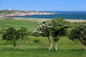 Cotentin: France, Normandy, Fermanville, elevated