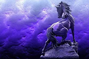 Zuckerman: France, Paris. Digital manipulation of a