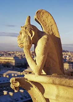 Barnes: France, Paris. Notre Dame Cathedral gargoyle