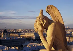 Barnes: France, Paris. Notre Dame Cathedral gargoyle