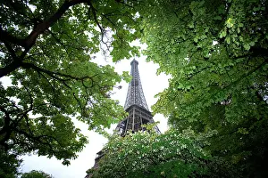 Zuckerman: France, Paris. Portion of Eiffel Tower in