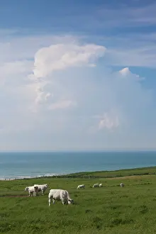 Manche: France, Pas de Calais, Cote d'Opale, Escalles