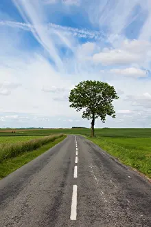 Conflict: France, Picardy, Somme, Beaumont, road through
