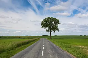 Conflict: France, Picardy, Somme, Beaumont, road through