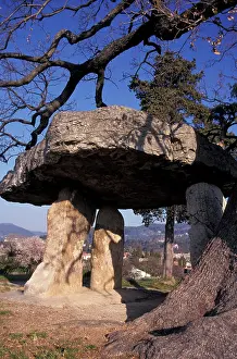 Megalithic: France, Provence, Draguignac Village. Dolmen