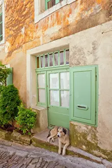 Fred: France, Provence, Gorde. Dog rests in doorway