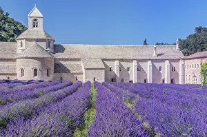 Religion: France, Provence, Gordes. Abbey of Our Lady of Senanque