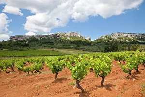 Hilltop: France, Provence, Les Baux-de-Provence