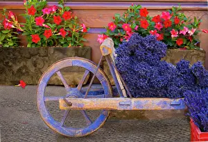 Cart: France, Provence, Sault. Old wooden cart