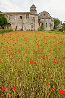 Fred: France, Provence, St. Remy-de-Provence