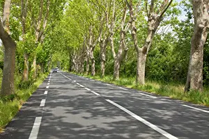 Auto: France, Provence, St. Remy-de-Provence