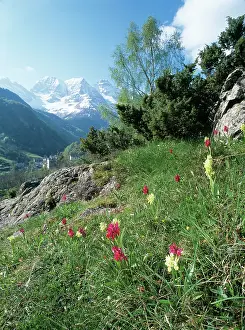 Sambucina: France - Pyrenees, National Park