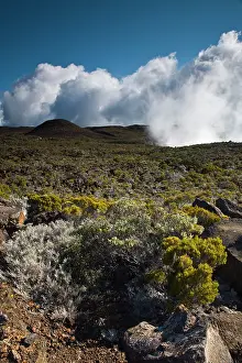 Reunion: France, Reunion Island, Bourg Murat, Plaine-des-Cafres