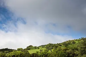 Reunion: France, Reunion Island, Bourg Murat, Plaine-des-Cafres