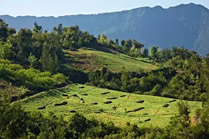 Cilaos: France, Reunion Island, Cirque de Cilaos