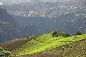 Cilaos: France, Reunion Island, Cirque de Cilaos
