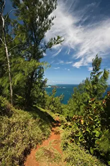 Reunion: France, Reunion Island, South Reunion, Grande