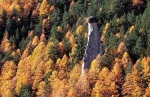 Pillars: FRANCE- Rock pillars in Larch Forest