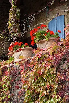 Burgundy: France, Saone-et-Loire Department, Burgundy