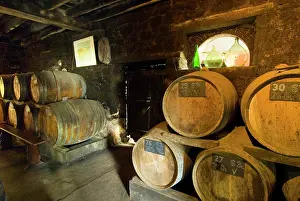 Gastronomy: France, Sept Forges, barrels in the cellar