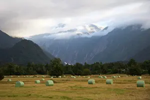 Roll: Franz Josef, New Zealand. Farmland surrounding