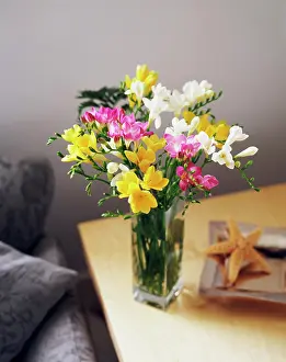 Bramble: Freesia, Floral arrengment of pink, white and yellow