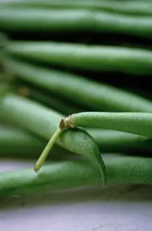 Phaseolus: French Bean