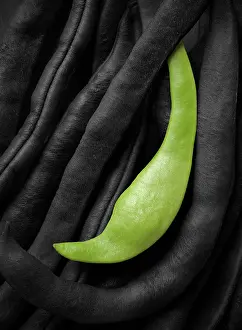 Neckar: French Bean