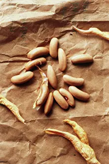 Collected: French Bean