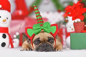Unicorn: French Bulldog dog with Christmas unicorn headba